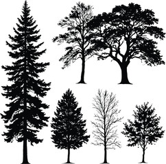 Tree Diversity Silhouette Collection Featuring Six Unique Black Line Art Trees with Varied Branch and Leaf Forms