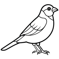 Obraz premium finch bird outline illustration