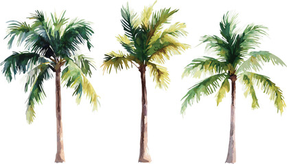 Watercolor Illustration of Three Palm Trees Isolated on a White Background