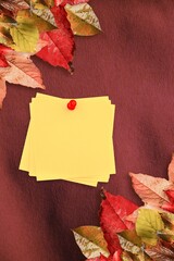 Fototapeta premium Autumn leaves with yellow note
