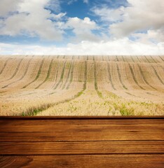 Obraz premium Wooden planks against field