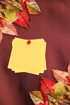 Fototapeta Autumn leaves with yellow note