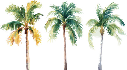 Obraz premium Watercolor Palm Trees Illustration on White Background for Summer and Tropical Designs