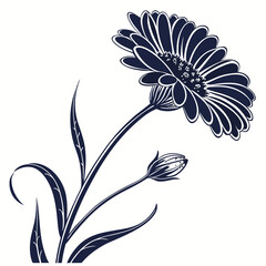 abstract floral background with zinnia