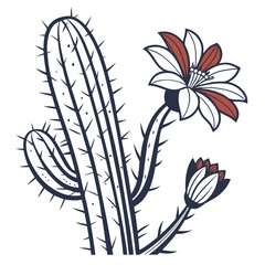 vector illustration of cactus bicolour