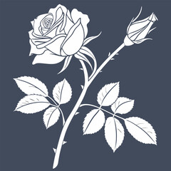 black and white cabbage rose