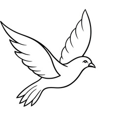 Obraz premium flying bird outline illustration