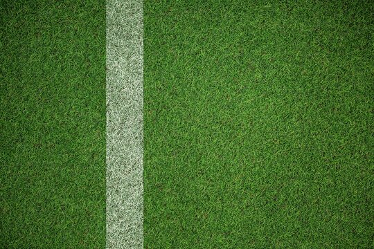 Fototapeta White boundary line is dividing vibrant green grass turf in flat design vector illustration