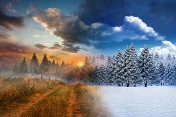 Autumn changing to winter