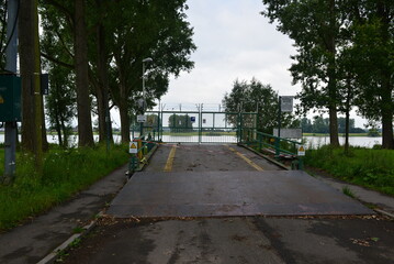 Rhine_012

