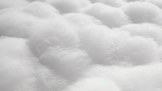 Soft white filling material creating a fluffy texture
