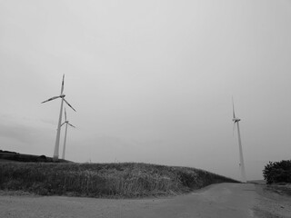 wind turbines farm
