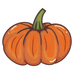Pumpkin drawings. Hand drawn cartoon pumpkin