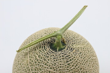 瑞々しい網目模様メロン