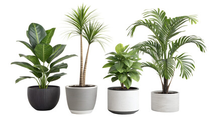 A curated collection of four distinct indoor potted plants featuring lush green foliage and modern planters perfect for enhancing home decor and interior design aesthetics