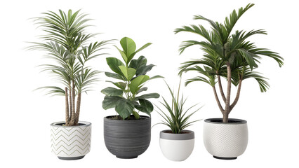 Obraz premium Collection of five healthy indoor potted plants in decorative pots on white background
