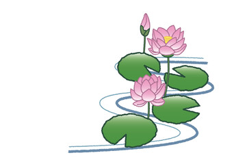 蓮のイラスト