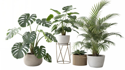 A collection of lush green houseplants including a large monstera deliciosa and a tall areca palm in decorative pots on a black background with abstract colorful elements