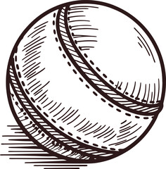 Hand drawn illustration of classic cricket ball isolated on white background with vintage engraved detail