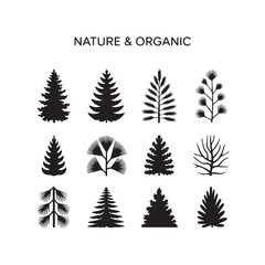 Obraz premium Collection of twelve diverse black pine tree silhouettes on a white background