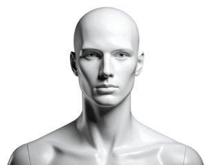  Firefly_Close-up view of a clean white mannequin head and upper body, featuring smooth, featu (