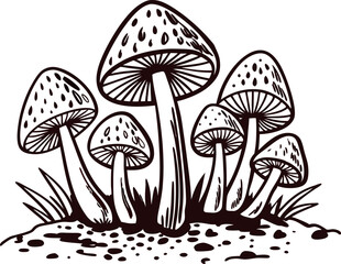Hand drawn illustration of wild mushrooms growing in soil with grass, vintage botanical engraving
