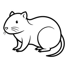 Muskrat on white background 