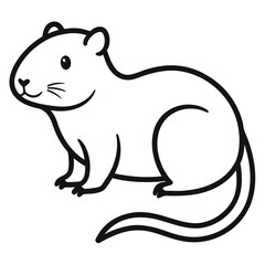 Muskrat on white background 