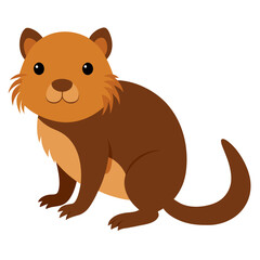 Muskrat on white background 