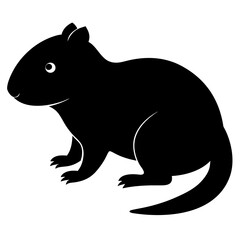 Muskrat on white background 