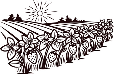 Strawberry field sun illustration in vintage engraving with blooming plants and landscape