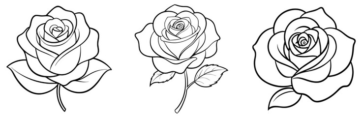 Rose Coloring Book Page Line Art Outline Design