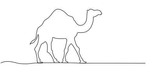 Fototapeta premium Camel continuous one line art drawing, Dromedary icon continuous one line drawing of outline vector illustration, Continuous line drawing of camel. Single line illustration of Arabian camel.