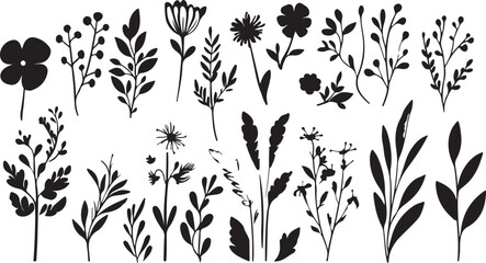 Elegant Black and White Floral Vector Pattern with Botanical Elements