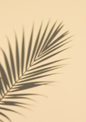 Obraz premium Calming shadow of a palm frond on warm neutral wall, Tropical leaf silhouette on peach background for minimalistic design elements