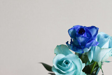 青い薔薇