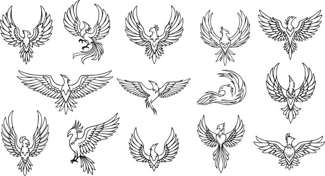 phoenix logo designs, black and white, minimalist, variety of poses, strong wings, stylized, elegant