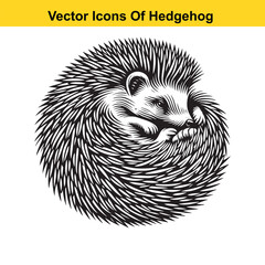Black and White Line Art of a Hedgehog with Mushroom or Leaf – Easy Tracing Vector