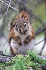 Yukon Territories, Canada