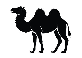 Elegant silhouette of a camel, a majestic desert animal, presented in a clean vector style illustration for creative applications.