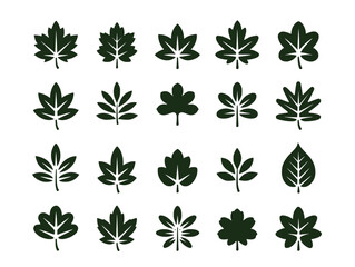 Leaf illustrations showcase various green leaf types isolated on white, perfect for botanical studies and nature designs, silhouette