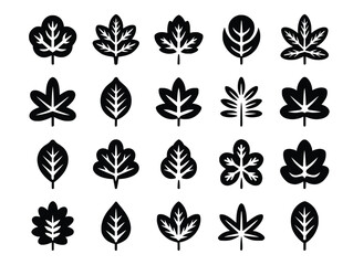 Leaf icons showcasing botanical diversity in black and white, simple forest elements that capture nature's beauty and organic design, silhouette