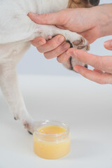 The owner puts wax on the dog's paws. 