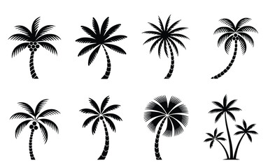 Collection of exotic palm tree silhouettes provides an array of tropical island vibes with vector elements, perfect for summer designs.
