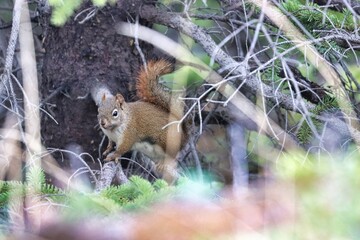 Yukon Territories, Canada