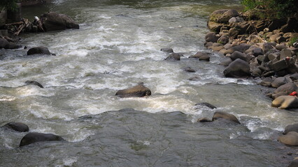 Clean river with water flowing over the rocks