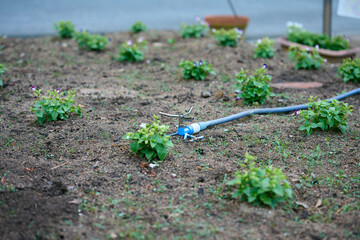 花壇用のスプリンクラー