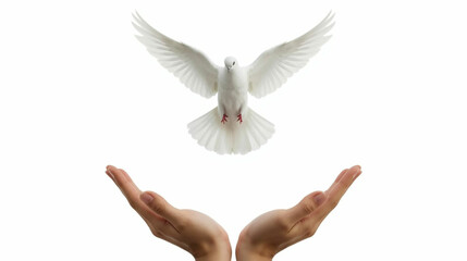 Releasing a White Dove