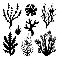 Black silhouettes of various underwater plants and corals seaweed marine life
