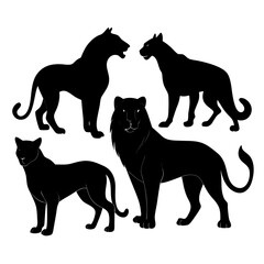 Black silhouettes of wild cats on a white background tiger panther
